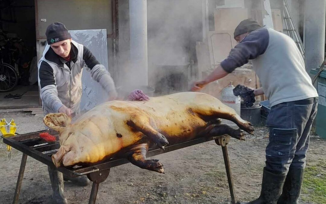 Dávid, a fiatal böllér